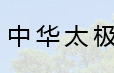 中华太极拳六大流派衍生图