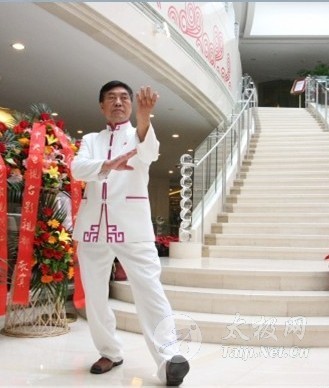 拳照