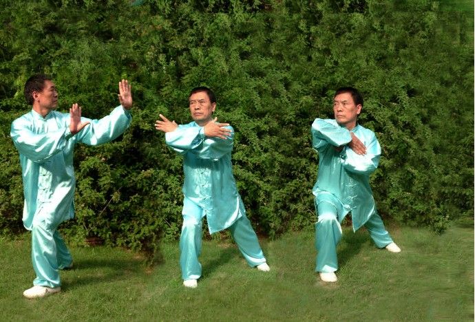 拳照