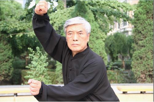 拳照