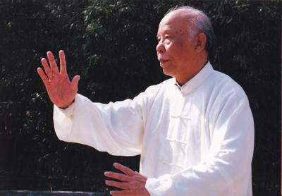 拳照