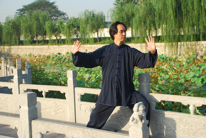 拳照