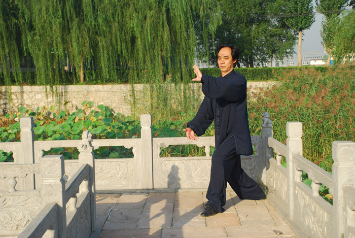 拳照