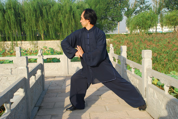 拳照