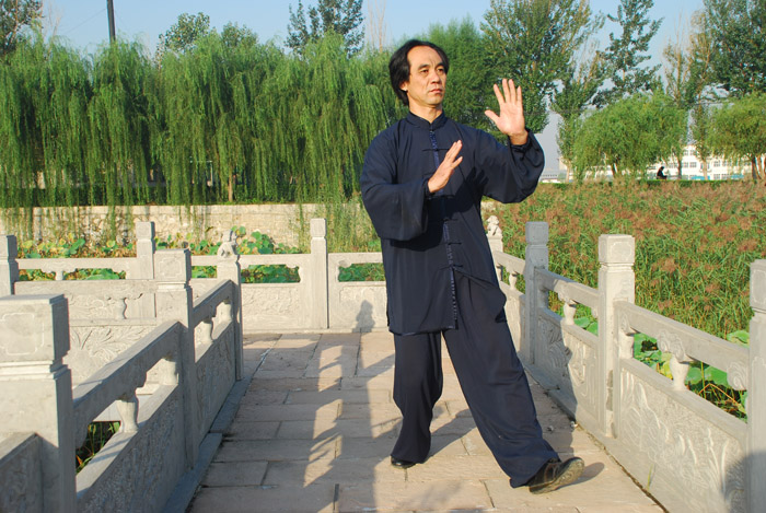 拳照