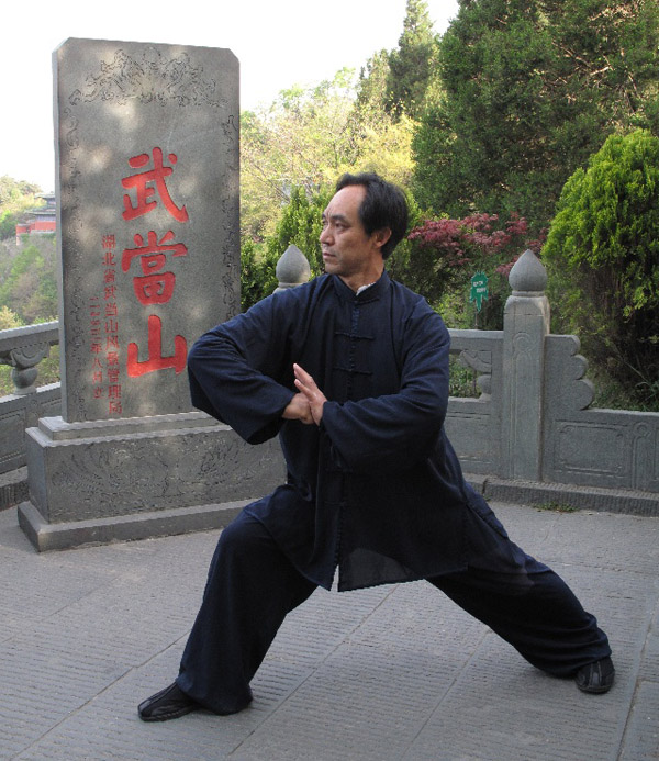 拳照