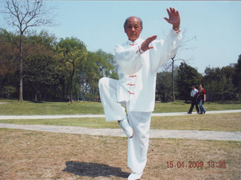 拳照
