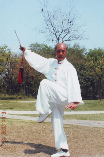 拳照