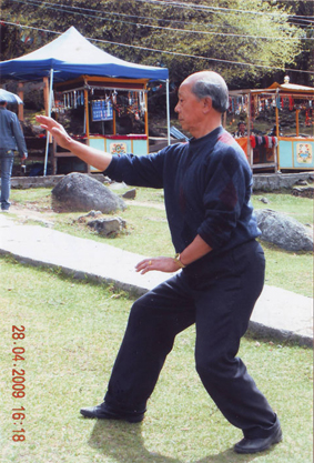 拳照