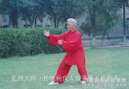 拳照