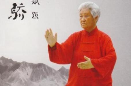 拳照