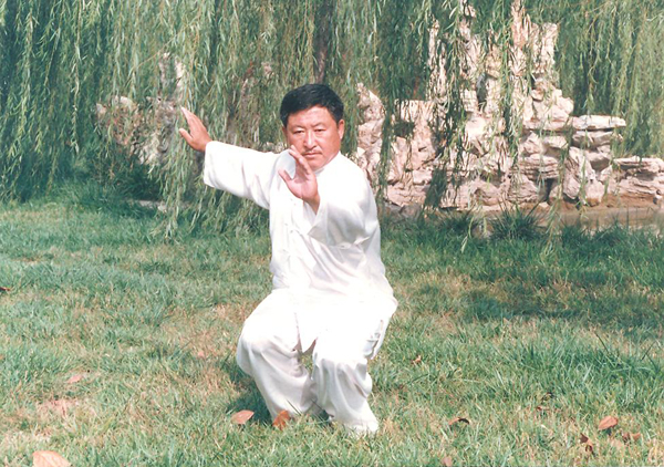 拳照