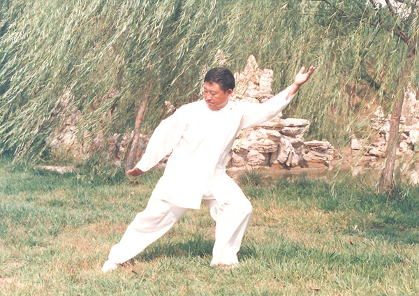 拳照