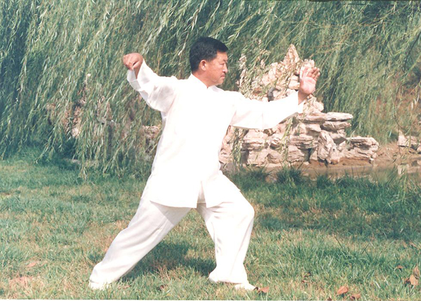 拳照