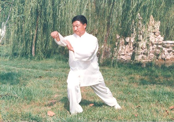 拳照