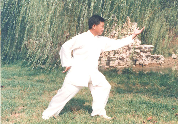 拳照