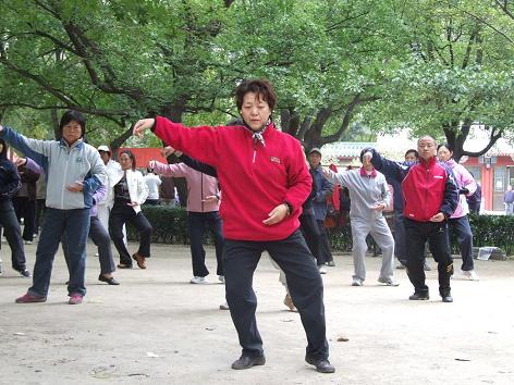 拳照