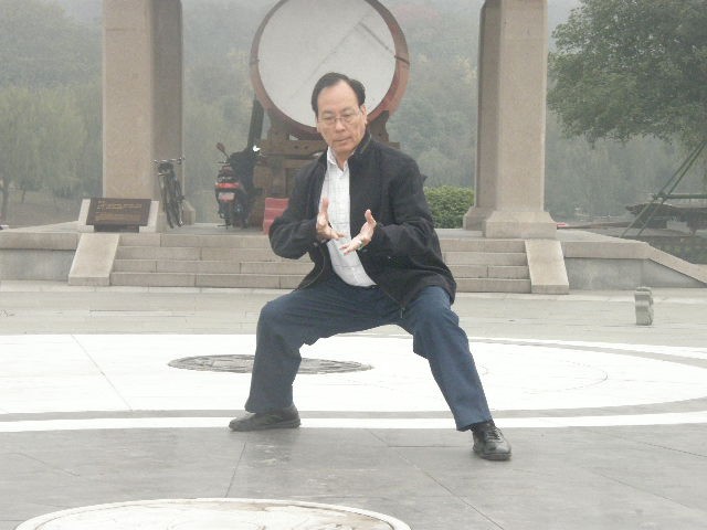 拳照