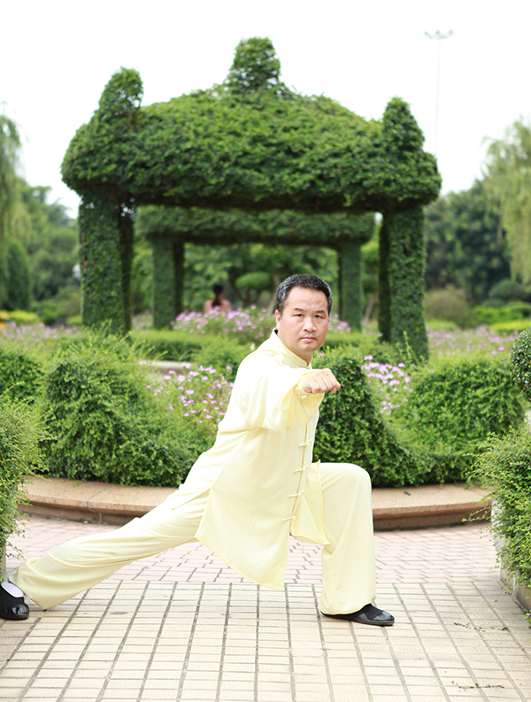拳照
