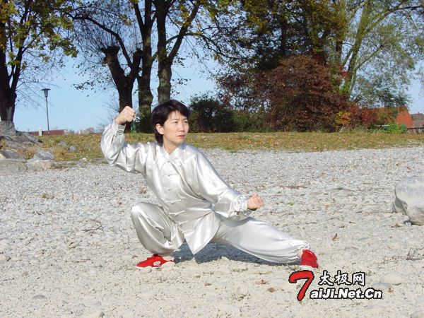 拳照