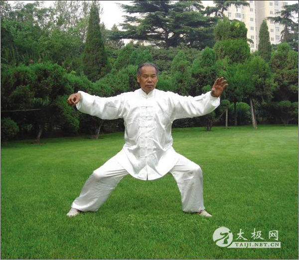 拳照