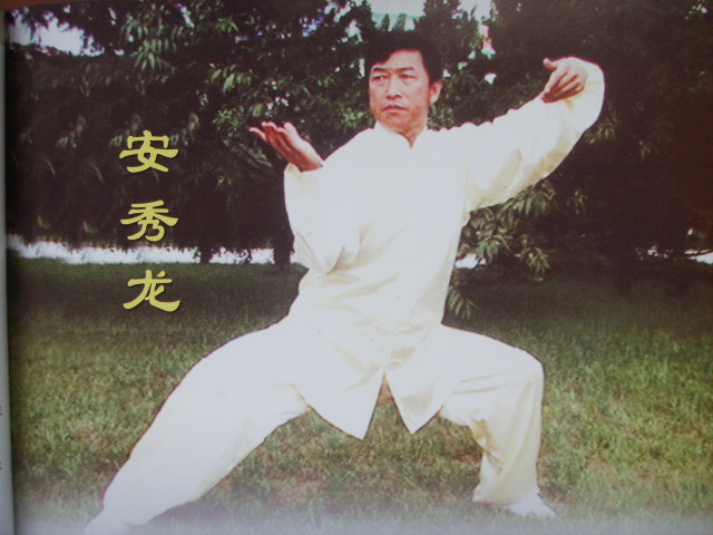 拳照
