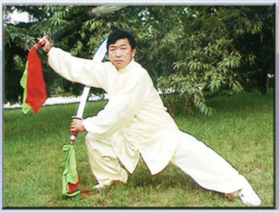 拳照