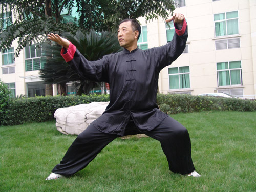 拳照