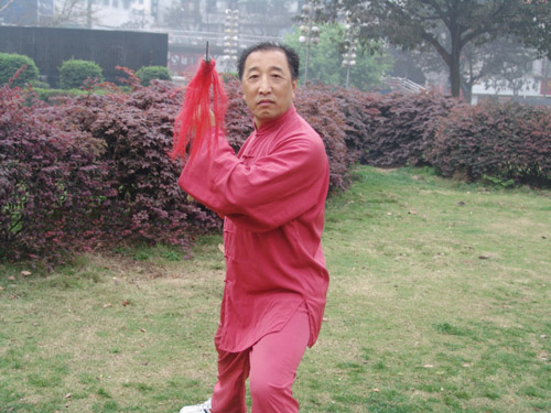 拳照