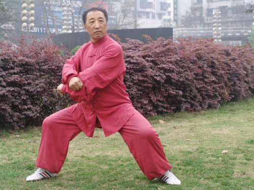 拳照
