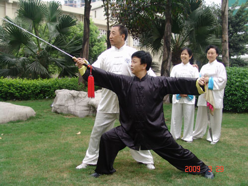 拳照