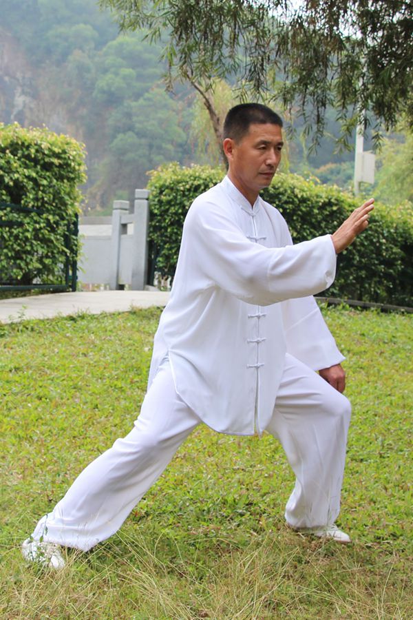 拳照