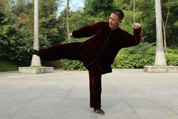 拳照