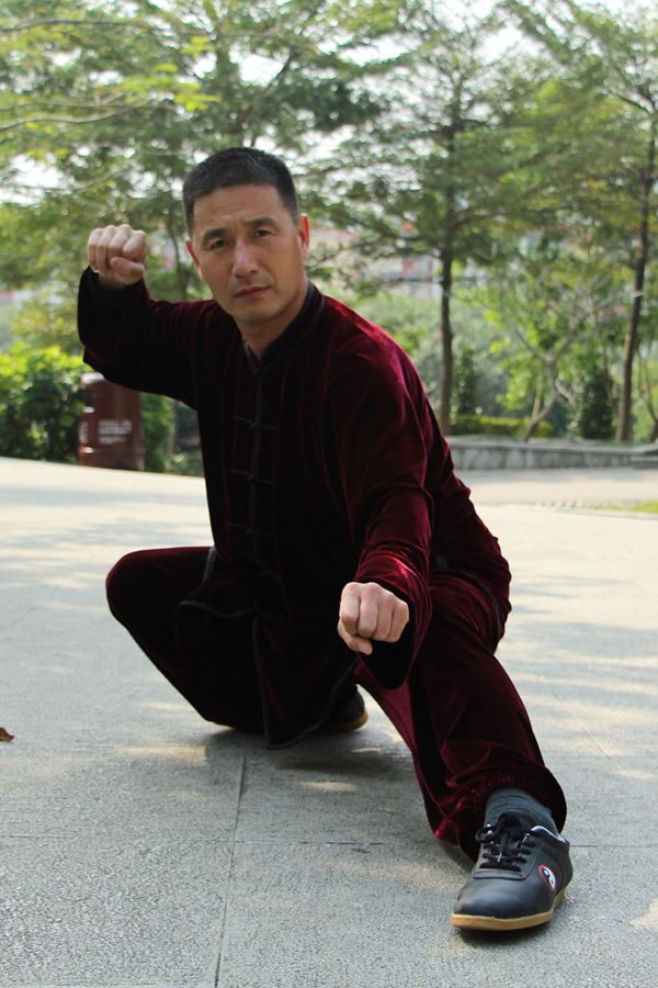 拳照