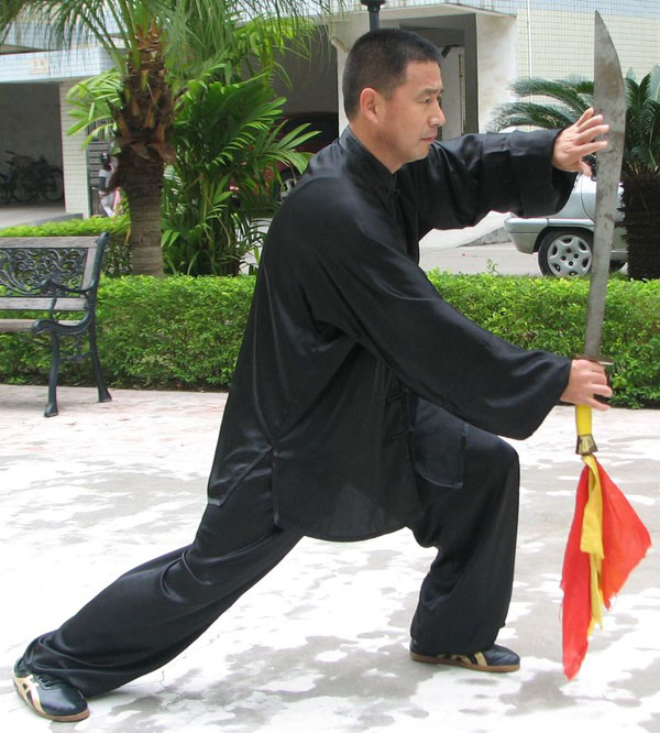 拳照