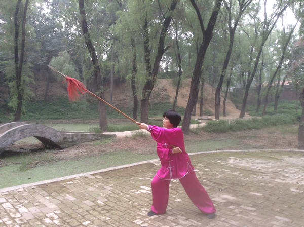 拳照