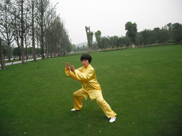 拳照