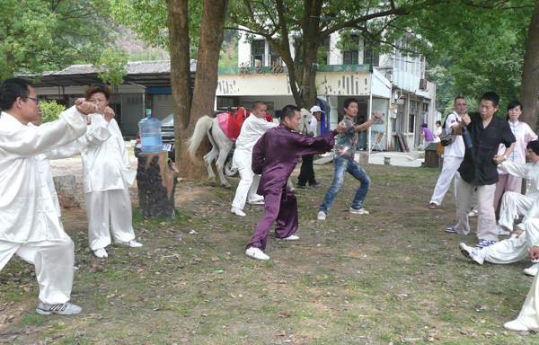 陈上党教拳