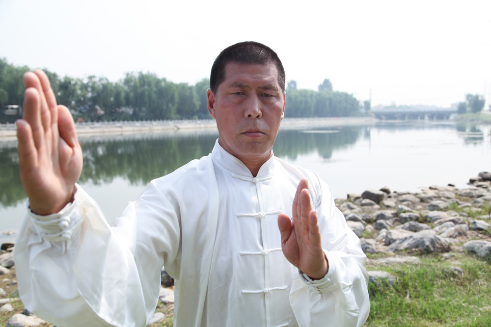 拳照6