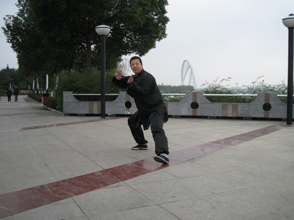 拳照