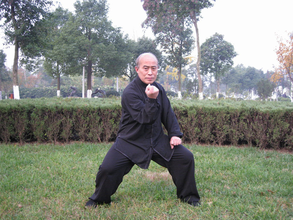 拳照