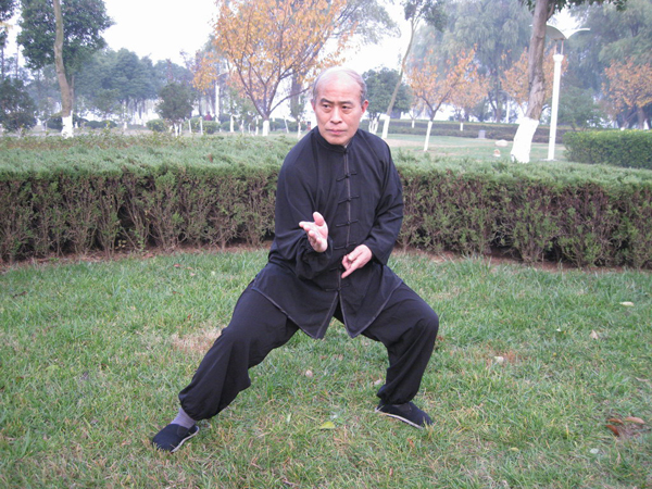 拳照