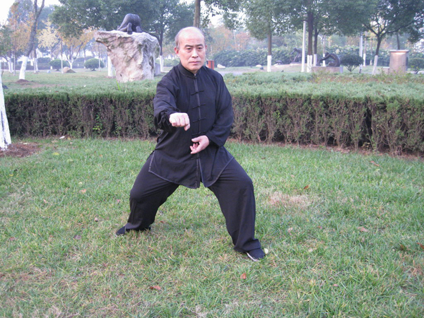 拳照