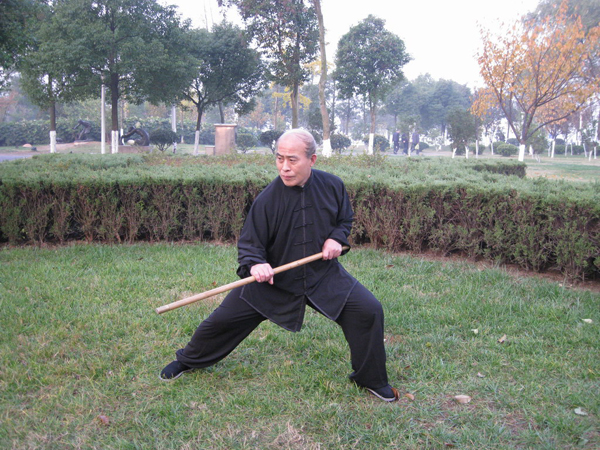 拳照
