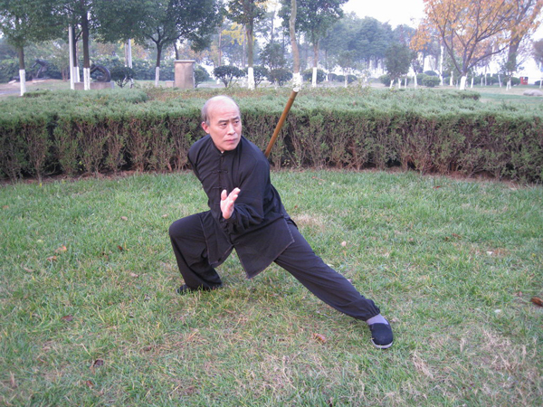 拳照