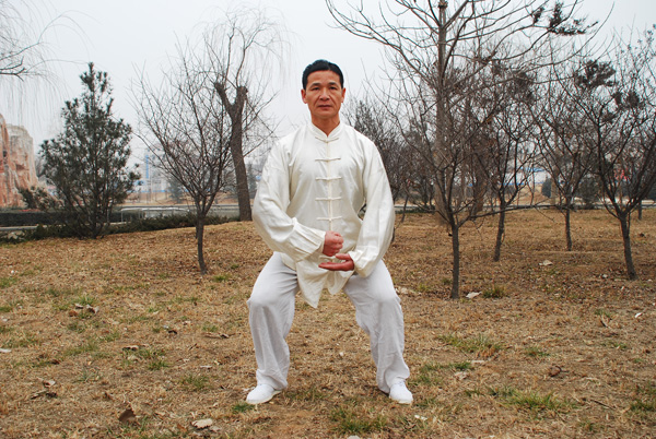 拳照