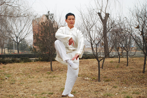 拳照