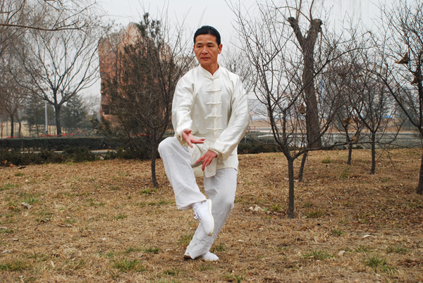 拳照