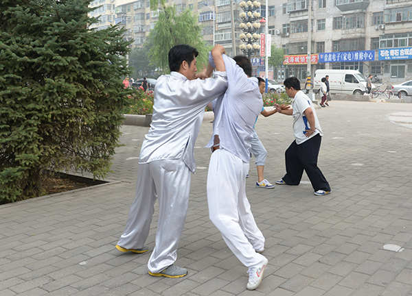 太极名家谢广田太极推手培训