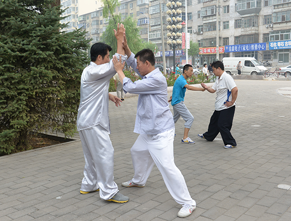 太极名家谢广田太极推手培训